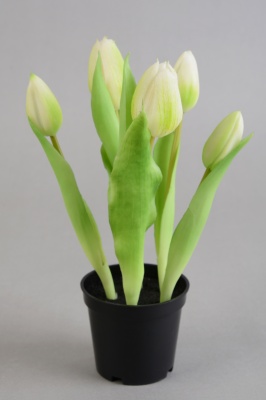 Topfpflanze Tulpe mit 5 weißen Blüten künstlich