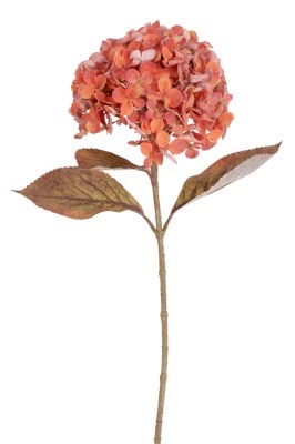Hortensienblüte terra / zimt künstlich 65 cm