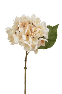 Hydrangea Bund mit 4 Blüten creme 15 x 35 cm
