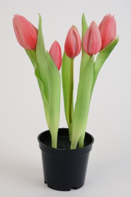 Topfpflanze Tulpe mit 5 pinken Blüten künstlich