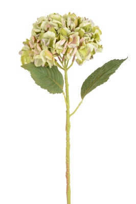 Hortensienblüte grün/natur künstlich 18 / 56cm