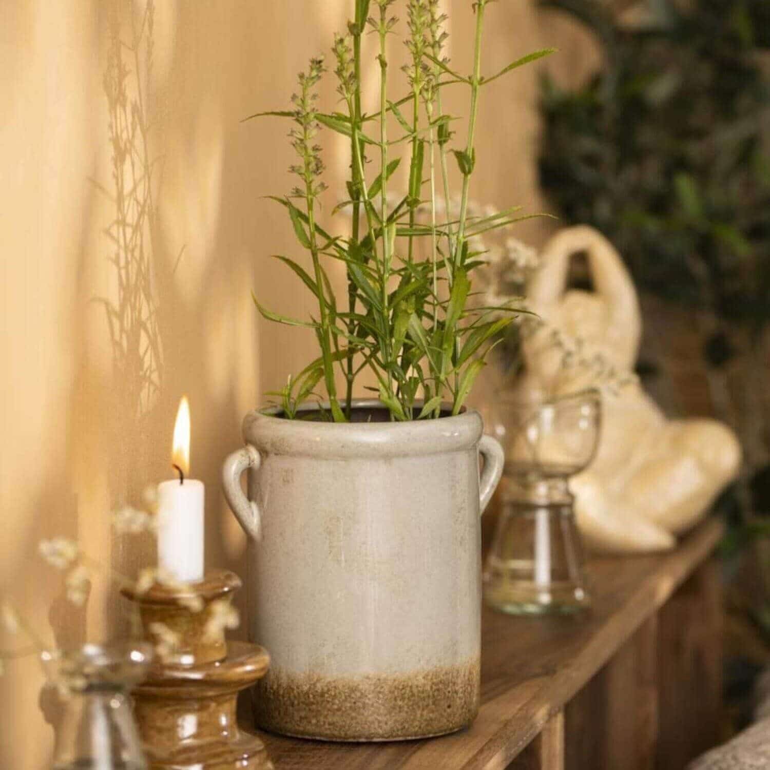 1D7DD2C9-3173-45DD-98CD-FF6F399A486F